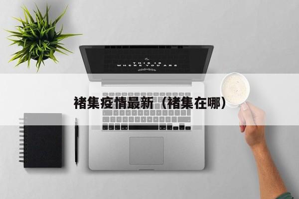 褚集疫情最新（褚集在哪）